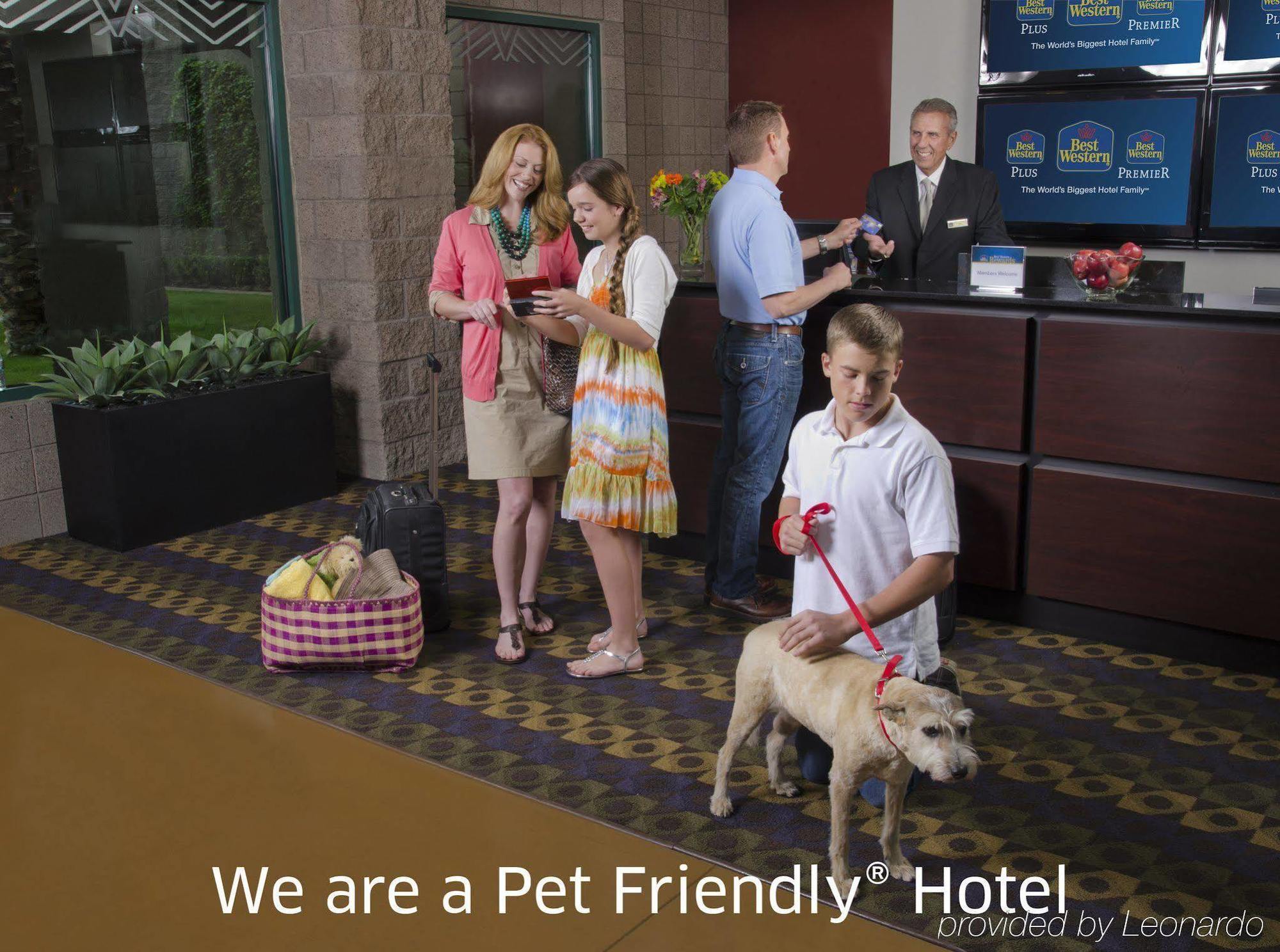 Best Western Socorro Hotel & Suites Bagian luar foto